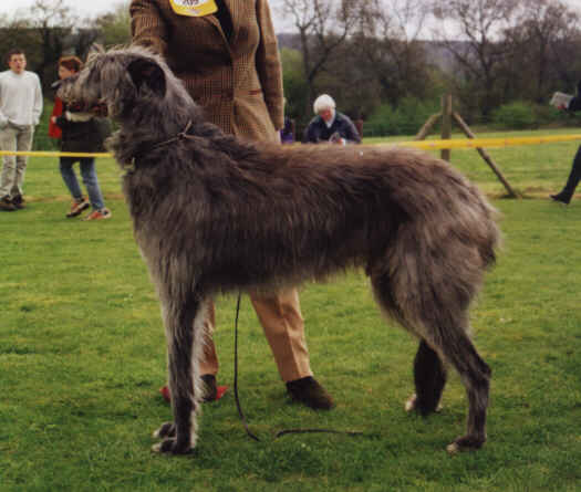 Kilbourne Adventurer of Neroche