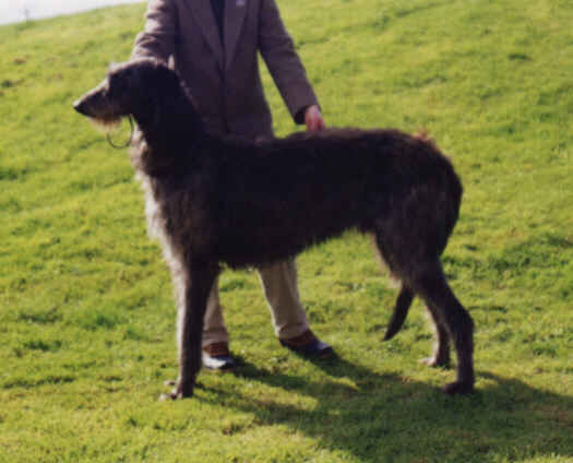 Lealla Gruinard