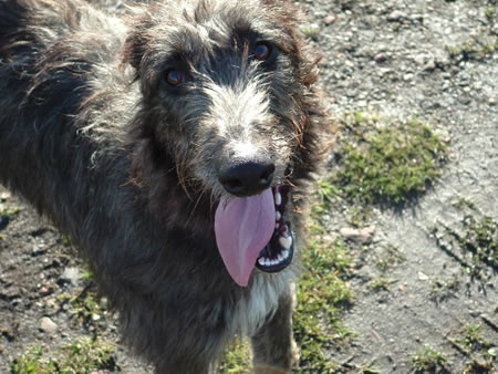 Kilbourne Maida November 2004