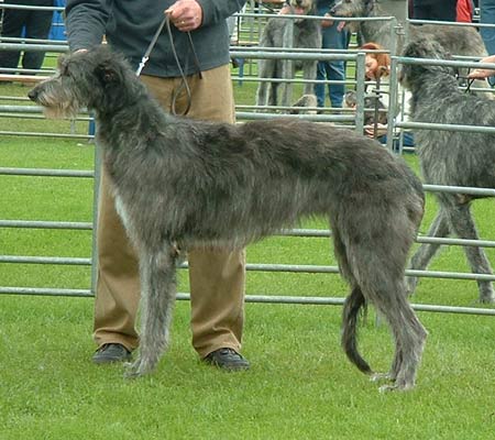 KIlbourne Ruby Tueday April 2001