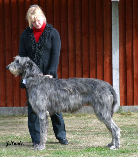 Kilbourne Tonkawa January 2002