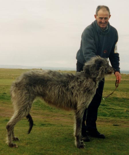 Nimloth Finduilis