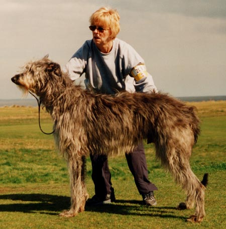 Ravensbridge Oscar's Boy